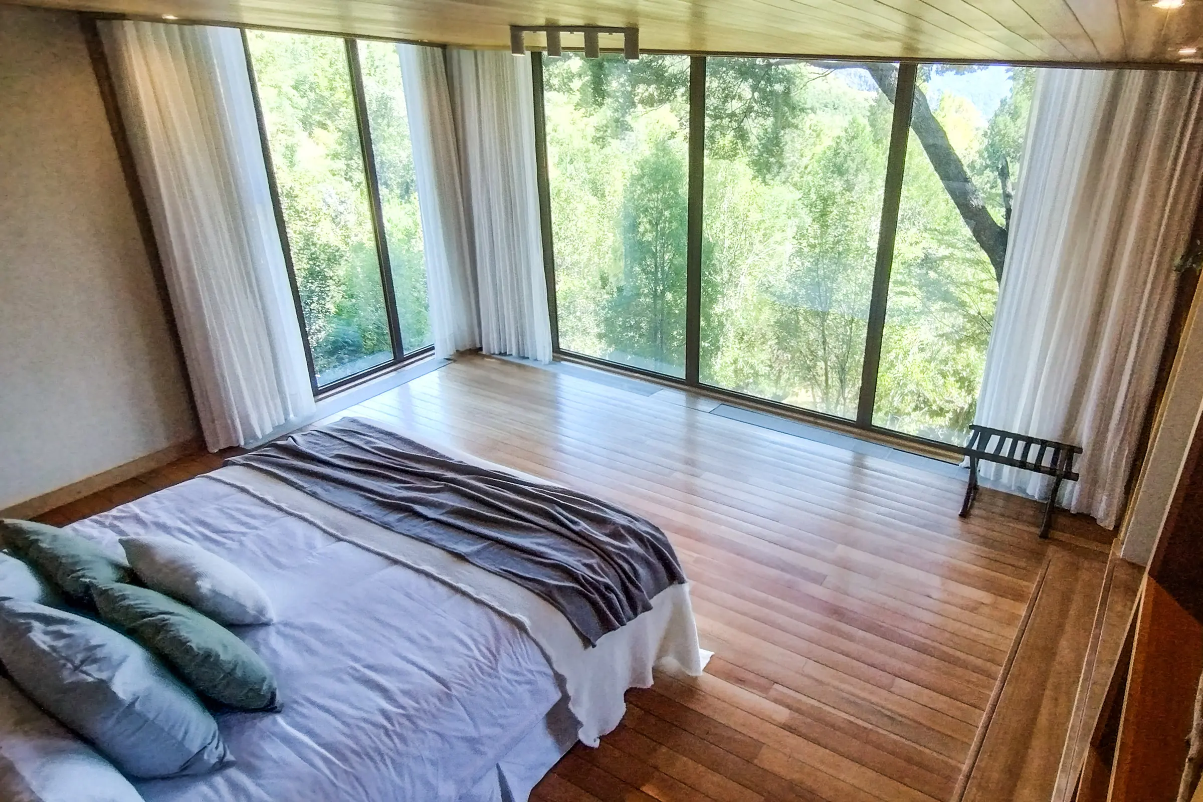 Room with king bed, floor-to-ceiling windows and forest views